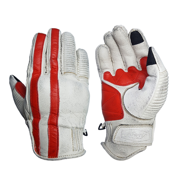 Daisy on the Ohoopee